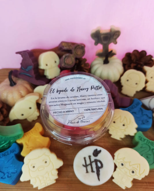Wax melts - " El Legado de Harry Potter "