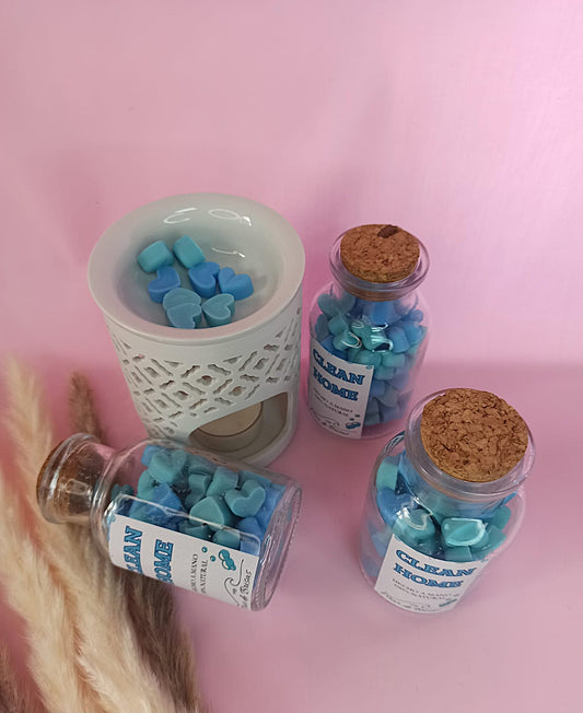 Bote Clean Home (+100h)