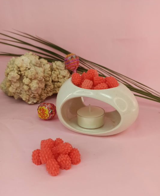 Wax melts - Golosinas minis (4h +/- unidad)