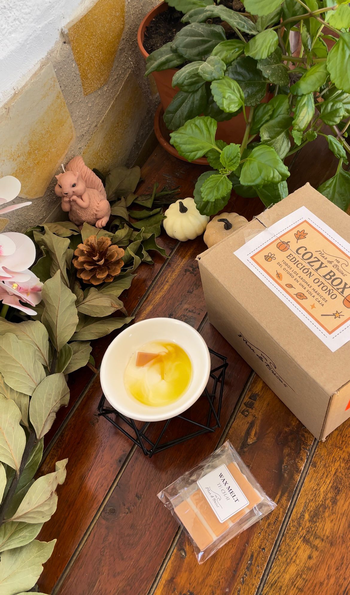 🍂COZY BOX EDICIÓN OTOÑO🍂