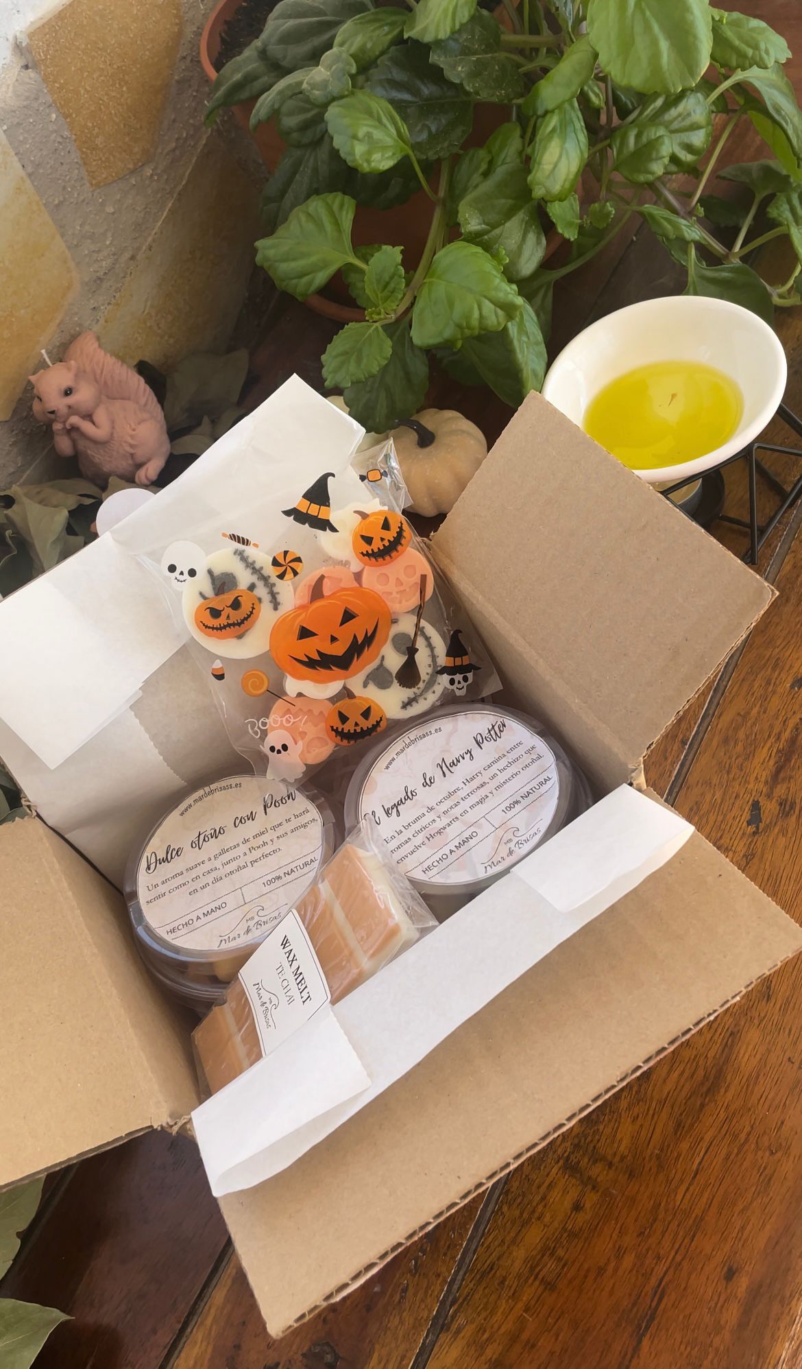 🍂COZY BOX EDICIÓN OTOÑO🍂