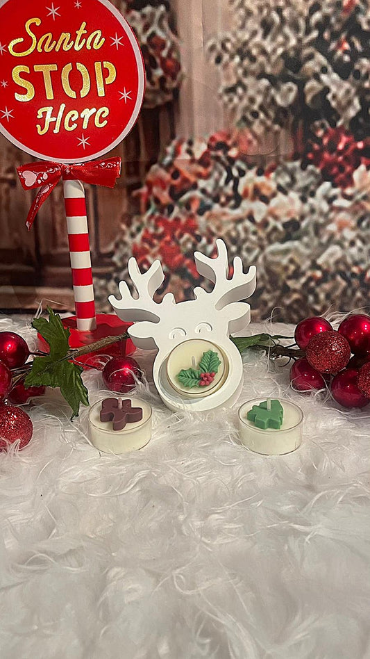 Pack “Rudolph y la Luz de la Navidad”