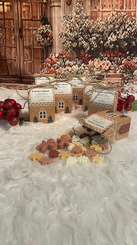 Frozen Breeze – Wax Melts Navideños (Limpio & Fresco)